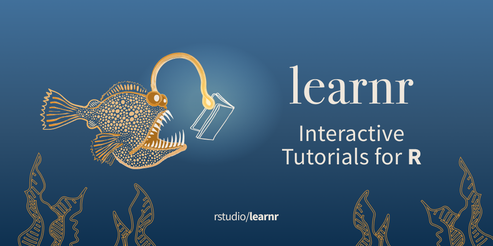 Ejemplo de cuestonario con Paquete de R learnr